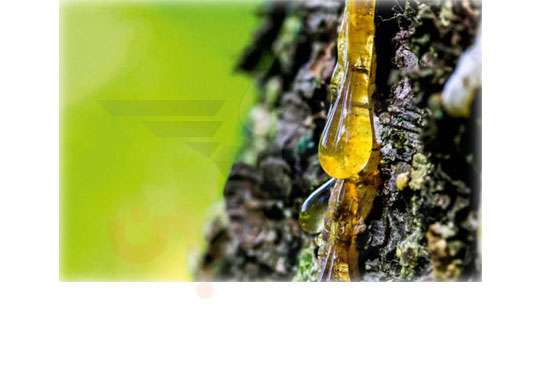 تاریخچه چسب