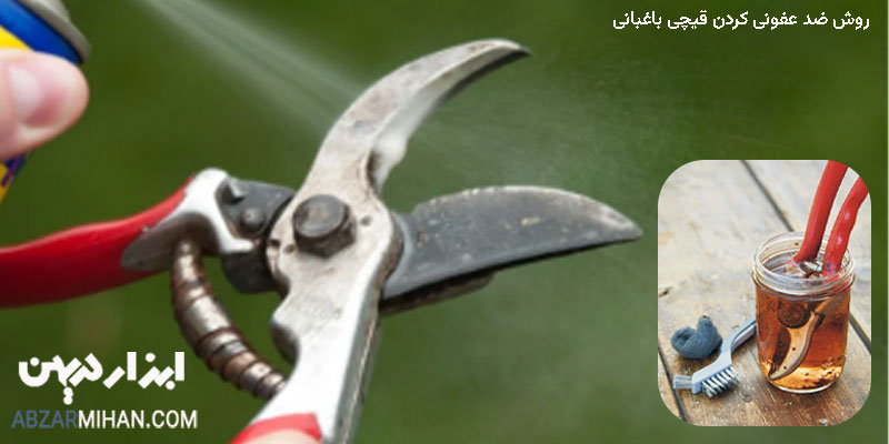 روش ضد عفونی کردن قیچی باغبانی