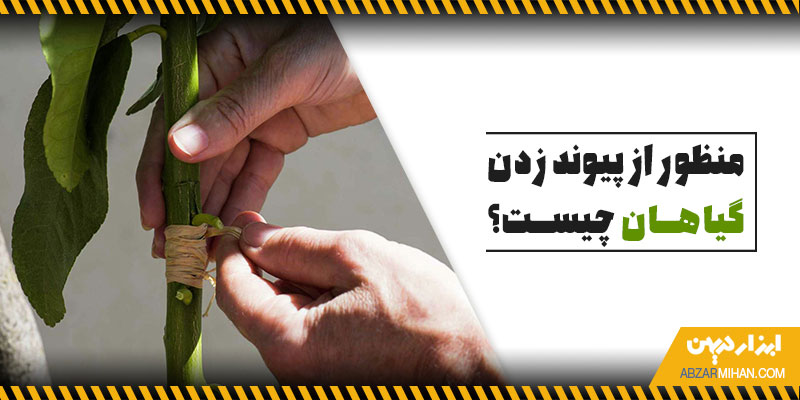 منظور از پیوند زدن گیاهان چیست ؟