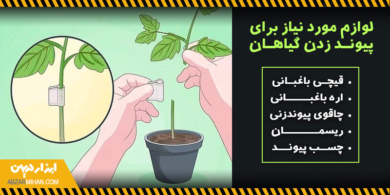 لوازم مورد نیاز برای پیوند زدن گیاهان