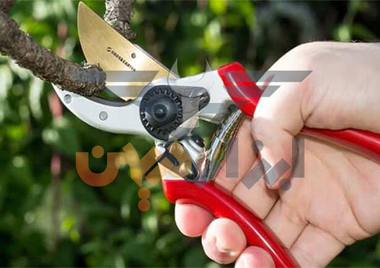 چرا قیچی باغبانی پس از مدتی زنگ می زند ؟