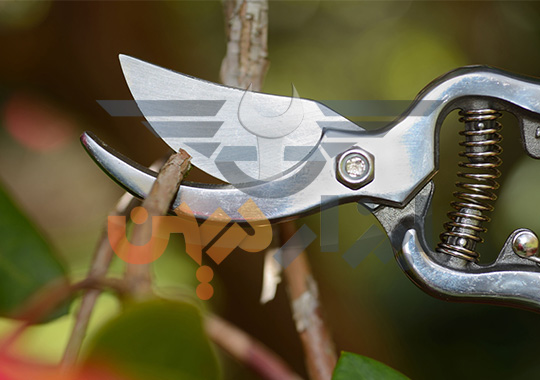 چگونه قیچی باغبانی خود را تیز کنیم ؟