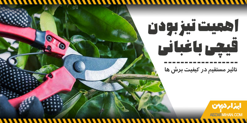 اهمیت تیز بودن قیچی باغبانی برای جلوگیری از آسیب به بافت گیاه